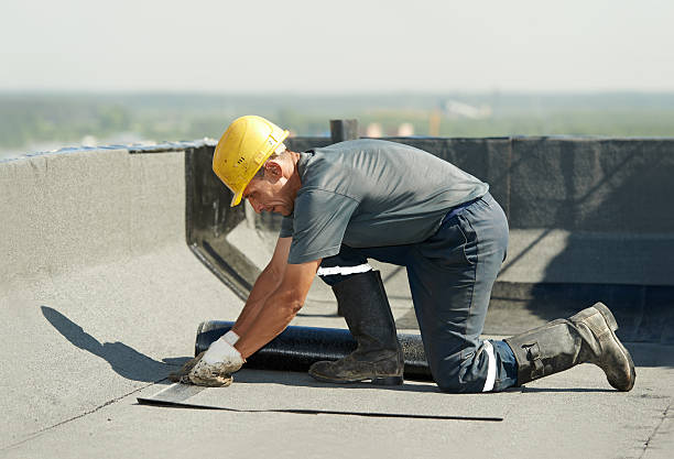 Best Insulation Installation Services in Beacon Square, FL